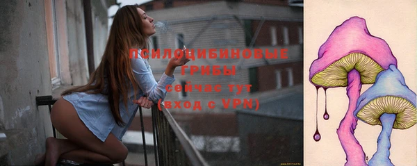 гидра Гусь-Хрустальный