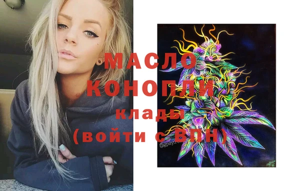 гидра Гусь-Хрустальный