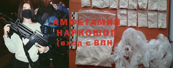 гидра Гусь-Хрустальный