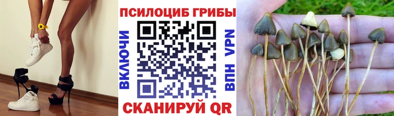 Псилоцибиновые грибы ЛСД Купить где Новозыбков